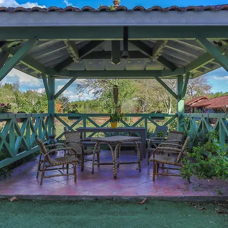 Traditional In The Heart Of Forest Trensacq